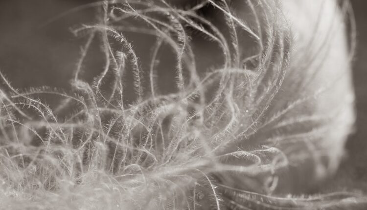 Por que algumas pessoas parecem ter uma vida mais leve e você também pode