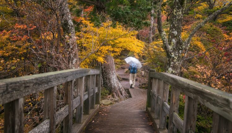 Siranoosh Sayad: quem é e por que todos estão falando dela?